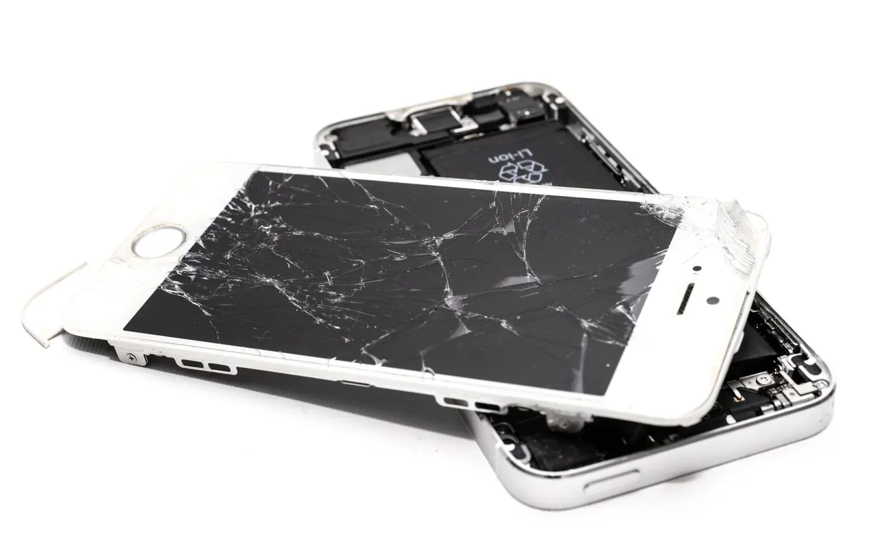 Experienced Water Damage Restoration professionals at work
