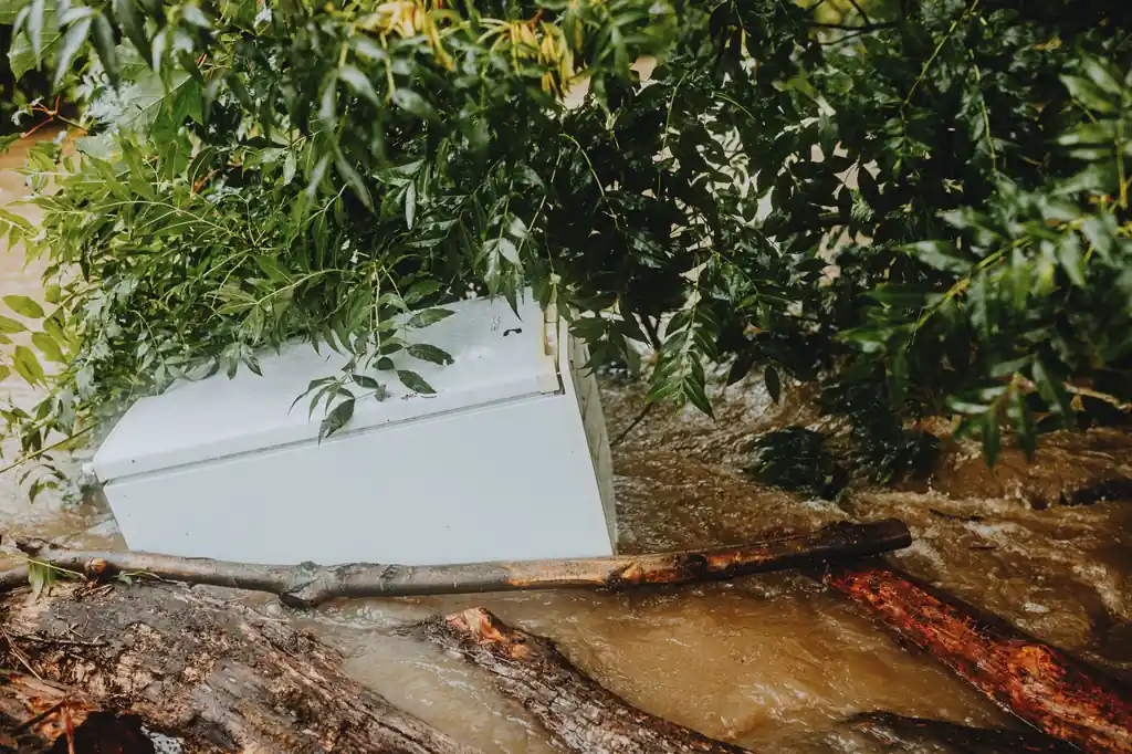 Local Emergency Water Removal example