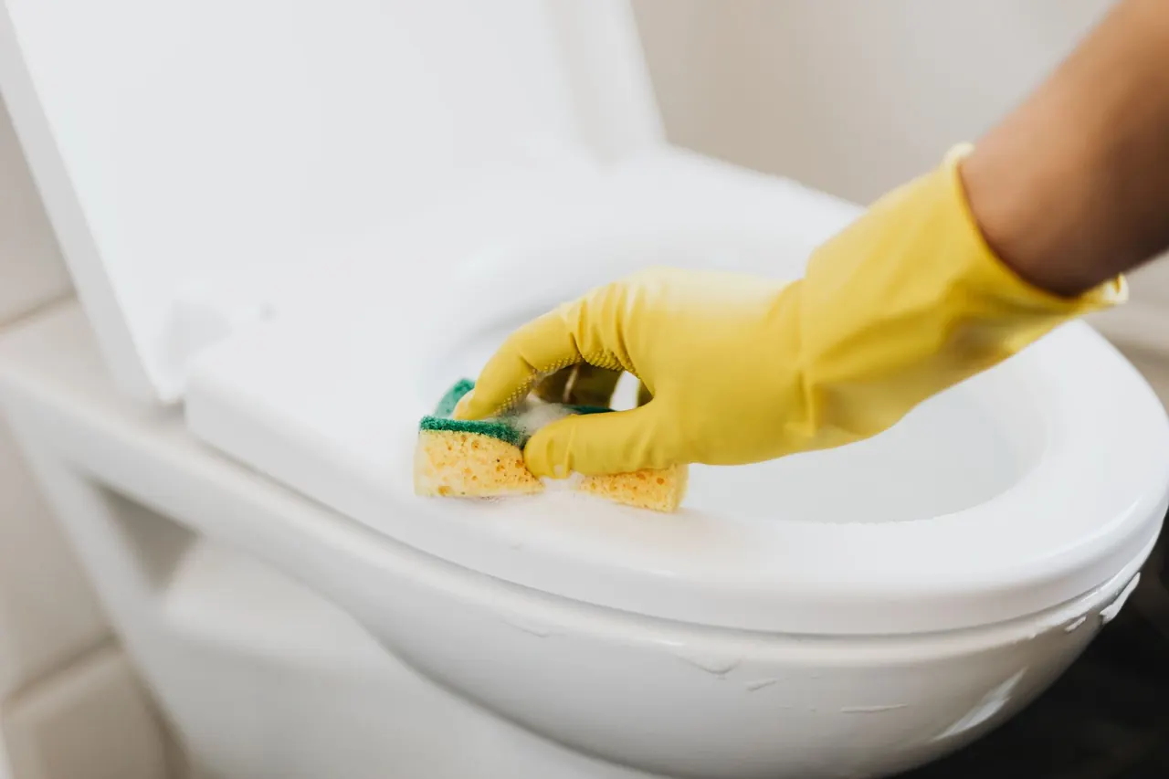 Tools used for Emergency Water Cleanup